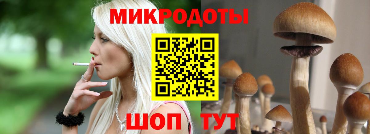 Дивногорск  Галлюциногенные грибы Psilocybine cubensis  Вход с VPN  купить наркотик  Псилоцибиновые грибы мухоморы 